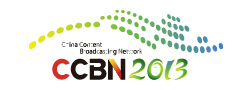 CCBN2013