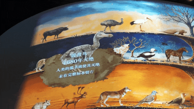 走进苏州科技馆“消失的动物园”,看见灭绝,更读懂共生 走进苏州科技馆“消失的动物园”,看见灭绝,更读懂共生