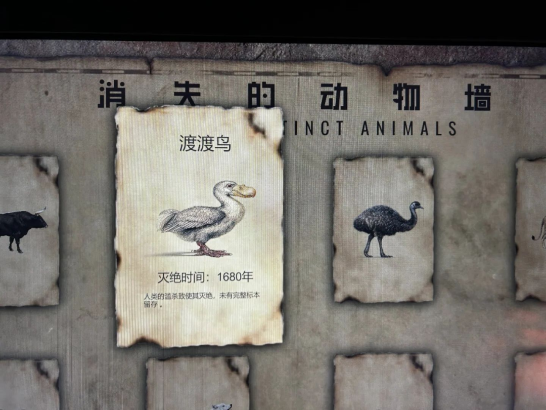 走进苏州科技馆“消失的动物园”,看见灭绝,更读懂共生 走进苏州科技馆“消失的动物园”,看见灭绝,更读懂共生